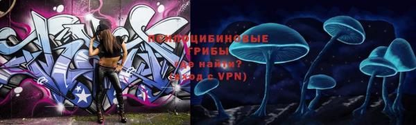 метадон Арсеньев