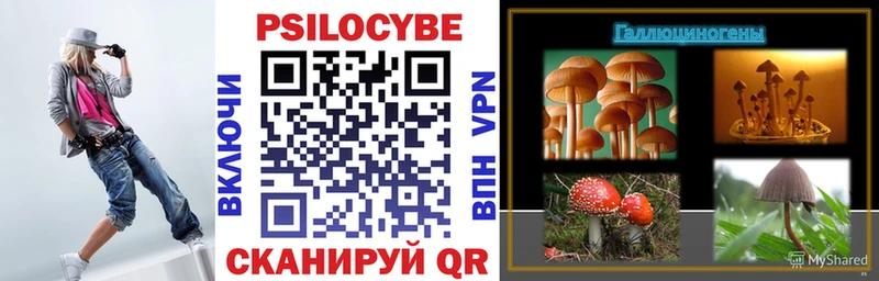 Галлюциногенные грибы мухоморы  где продают наркотики  Ржев 