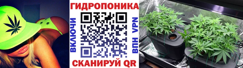 Бошки Шишки гибрид Ржев